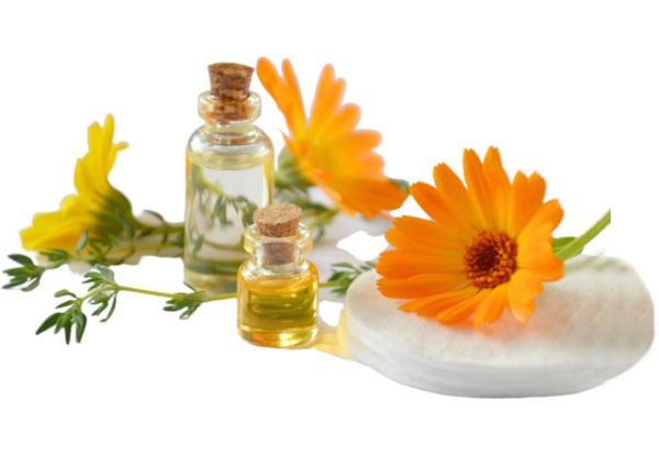 Small glass bottles of Ayurvedic herbal oil with orange calendula flowers